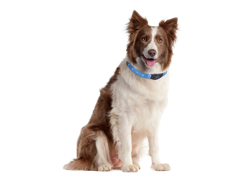 Gehe zu Vollbildansicht: Karlie Hundehalsband »Visio Light LED«, speziell für Langhaarhunde, Silikon - Bild 7