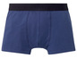 Blaue Boxershorts mit schwarzem elastischem Bund.