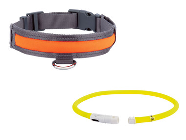 zoofari® Hundehalsband, mit LED