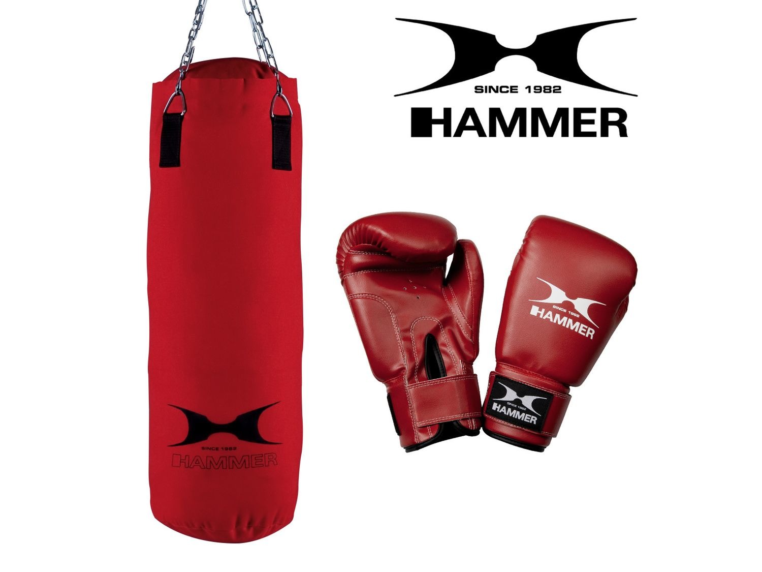 HAMMER Box-Set Pro online kaufen LIDL