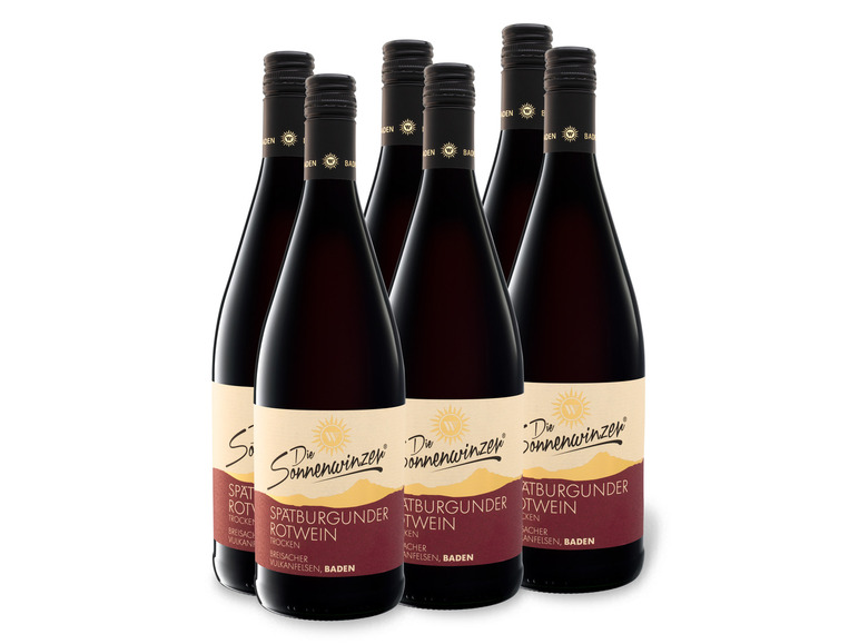 Rotwein x trocken, Vulkanfelsen 1,0-l-Flasche Breisacher Literflasche, Weinpaket 6 QbA Spätburgunder