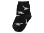 Schwarze Socken mit weißen Dinosauriern.