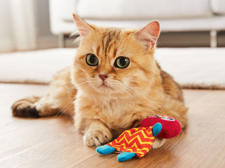 Gehe zu Vollbildansicht: zoofari® Katzenspielzeug, mit Katzenminze - Bild 4