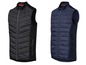Zwei Herren-Steppwesten, eine schwarze und eine marineblaue, mit Reißverschluss.