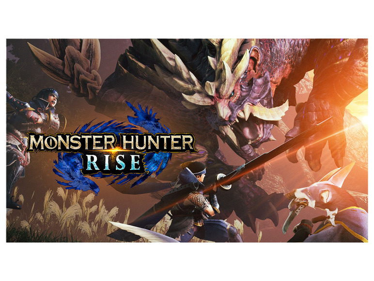 Gehe zu Vollbildansicht: Nintendo Monster Hunter Rise Deluxe Kit - Bild 1