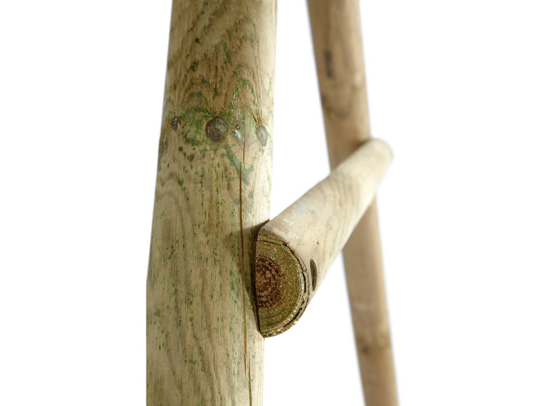 Gehe zu Vollbildansicht: Plum® Schaukel Set »Meerkat«, Swing Set mit Soft-Feel-Seilen, aus FSC®-zertifiziertem Holz - Bild 4