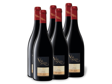 6 x 0,75-l-Flasche Weinpaket Val de Salis Syrah Viognier Reserve Pays d'Oc IGP trocken, Rotwein