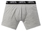 Graue Boxershorts mit NYC-Logo von Cool Street Apparels.