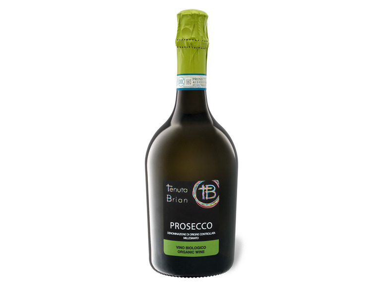 Gehe zu Vollbildansicht: BIO Tenuta Brian Prosecco Treviso DOC extra dry, Schaumwein 2020 - Bild 1