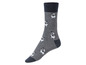 Graue Socken mit einem Mops-Muster.