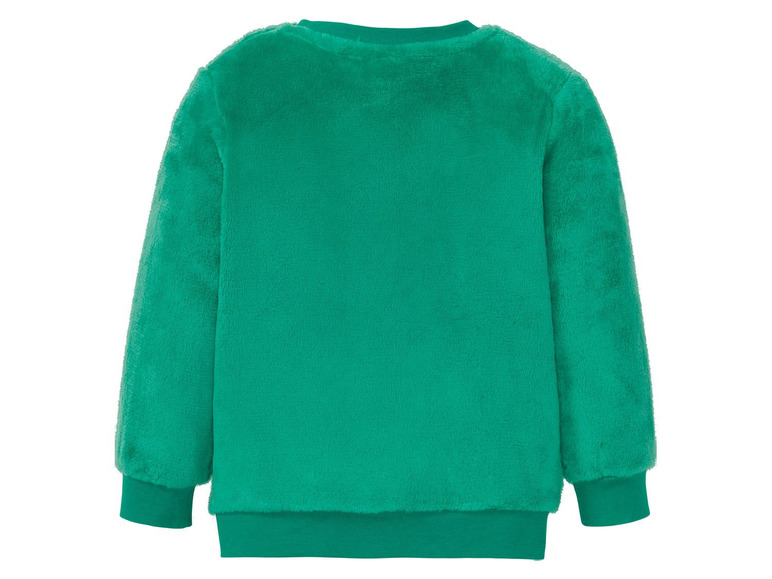 Ein grüner Fleece-Pullover mit langen Ärmeln.