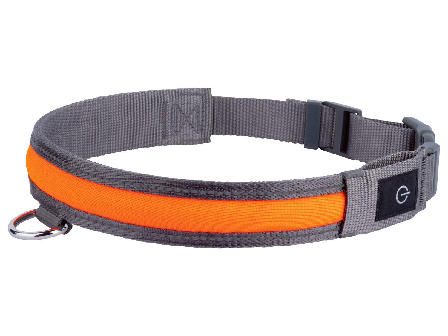 zoofari® Hundehalsband, mit LED online kaufen | LIDL