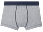 Graue Boxershorts mit einem dunkelblauen Bund.