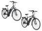 Zwei graue Fischer E-Bikes.