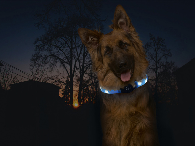 Gehe zu Vollbildansicht: Karlie Hundehalsband »Visio Light LED«, speziell für Langhaarhunde, Silikon - Bild 8