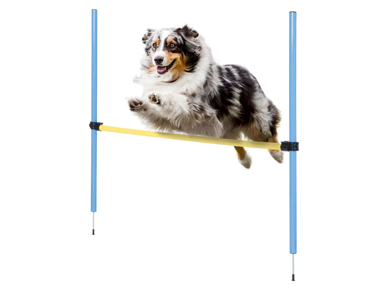 Gehe zu Vollbildansicht: ZOOFARI® Hundetrainings Set, mit Trainingsvideos, inklusive Transporttasche - Bild 5