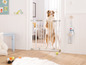 Ein Hund steht an einem Baby-Gittertor der Marke Hauck.