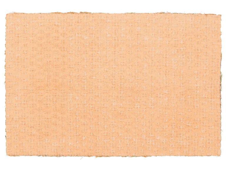 Gehe zu Vollbildansicht: FLORABEST Schmutzfangmatte Kokos, bedruckt, 40 x 60 cm - Bild 4