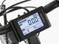 Nahaufnahme des Displays eines Fischer Proline E-Bikes, das eine Geschwindigkeit von 0 km/h anzeigt.