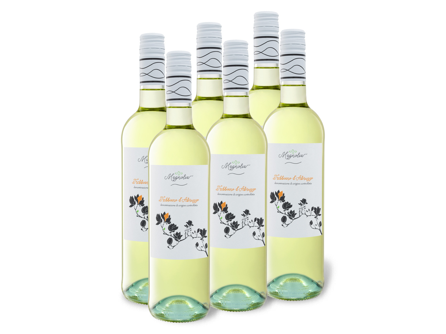 6 x 0 75-l-Flasche Weinpaket Magnolia Trebbiano d\'Abruzzo DOC trocken  Weißwein