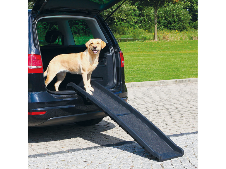Gehe zu Vollbildansicht: Jollypaw Hunde Klapp-Rampe, 156 x 40 cm - Bild 1