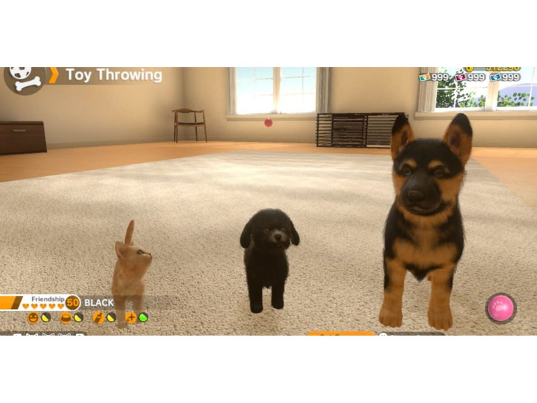 Gehe zu Vollbildansicht: NBG Little Friends - Dogs & Cats - Nintendo Switch - Bild 4