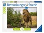 Ein 1000-teiliges Ravensburger Puzzle mit einem Löwen in der Natur.