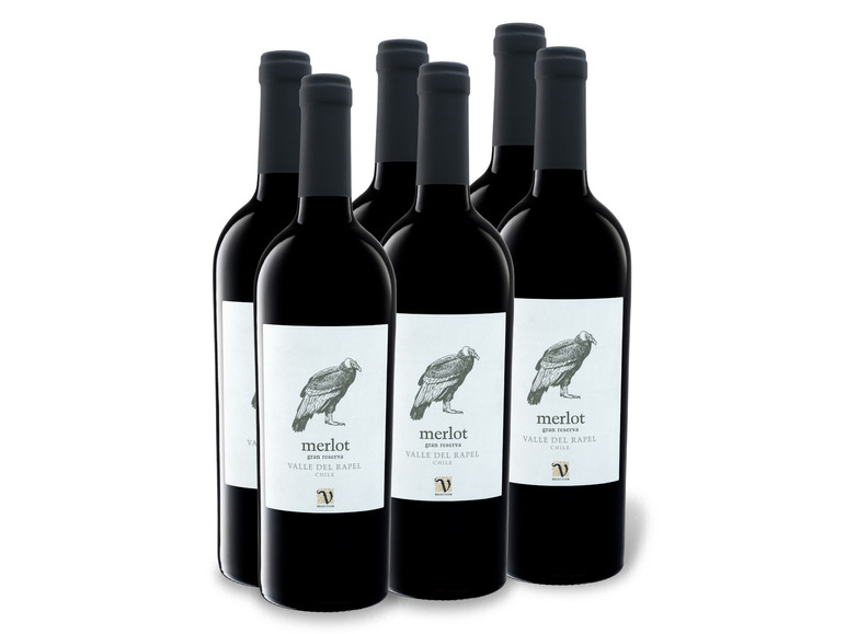 6 x 0,75-l-Flasche Weinpaket Merlot Reserva Rotwein del Gran VIAJERO Valle Rapel trocken
