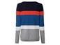 Ein gestreifter Pullover mit langen Ärmeln in Blau, Weiß, Grau und Rot.
