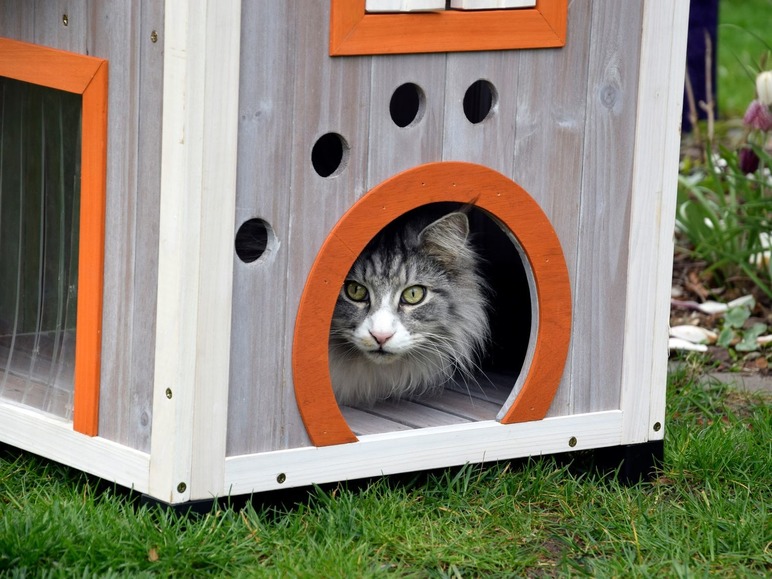 Gehe zu Vollbildansicht: dobar Großes Katzenhaus Fancy Cat, grau-rot-orange - Bild 7