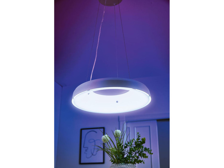 Gehe zu Vollbildansicht: LIVARNO LUX® Pendelleuchte, mit Lichtfarbensteuerung »Zigbee Smart Home« - Bild 5