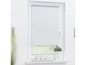 Ein weißes Rollo an einem Fenster mit einer Pflanze auf der Fensterbank.