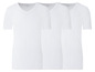 Drei weiße V-Neck-T-Shirts von Livergy.