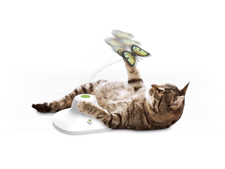 Gehe zu Vollbildansicht: ZOOFARI® Katzenspielzeug, mit Spielschiene, Spielball, Butterfly oder Futternapf - Bild 2