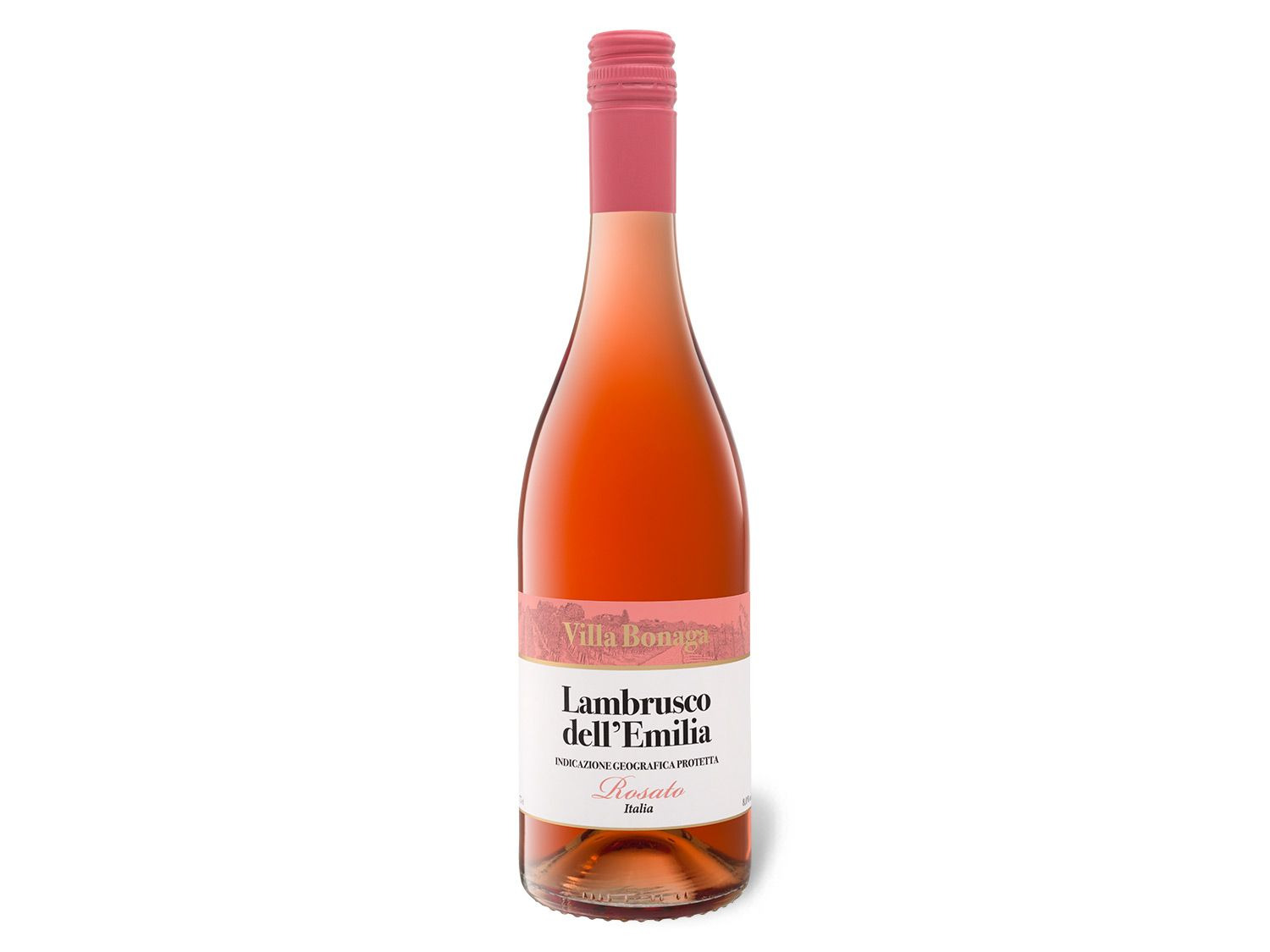 Ламбруско розовое цена. Ламбруско Rose шампанское. Lambrusco dell'Emilia розовое. Ламбруско вино игристое розовое.