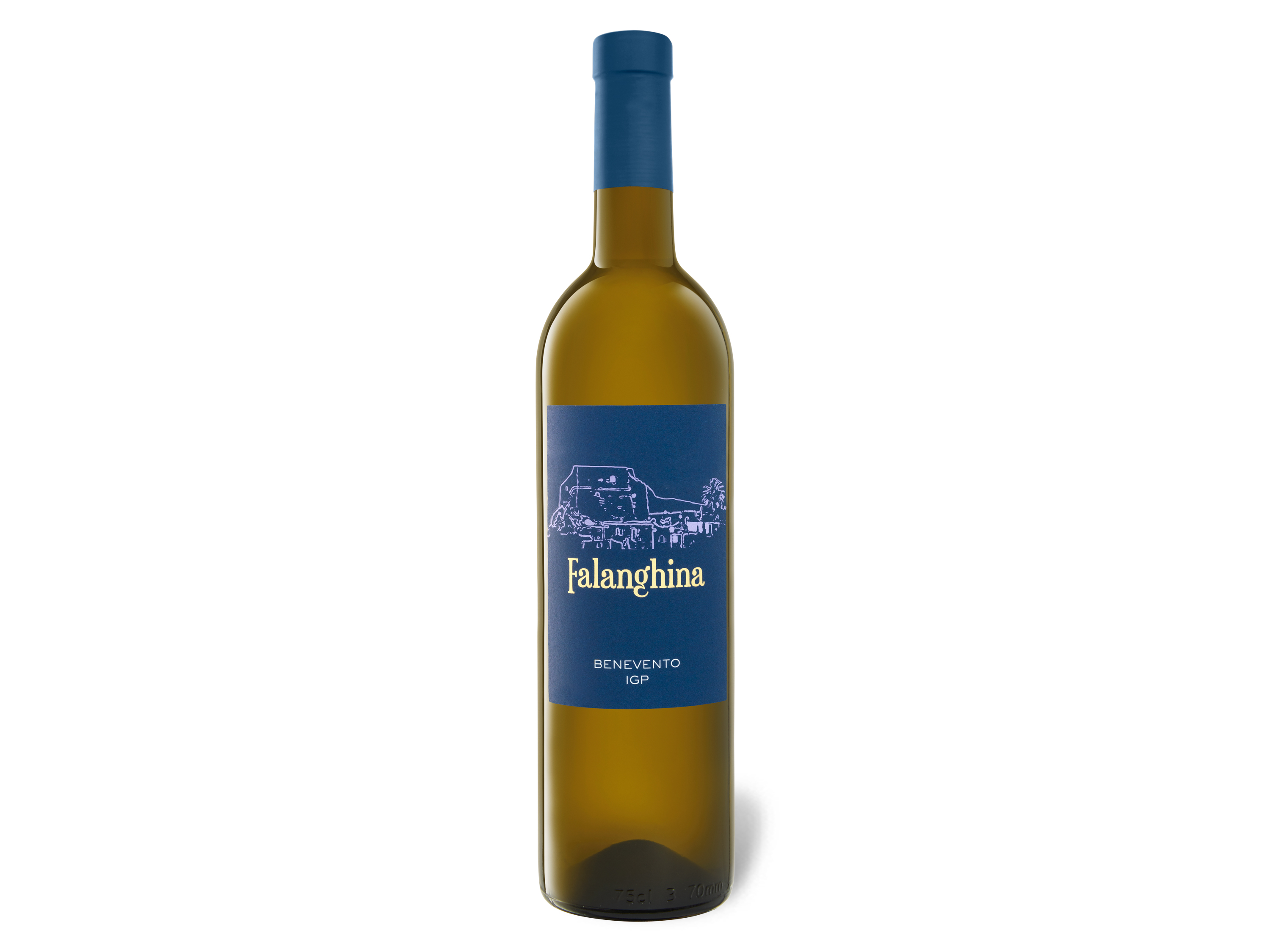 Lidl Wein-Angebot - Falanghina Benevento IGP trocken, Weißwein 2025