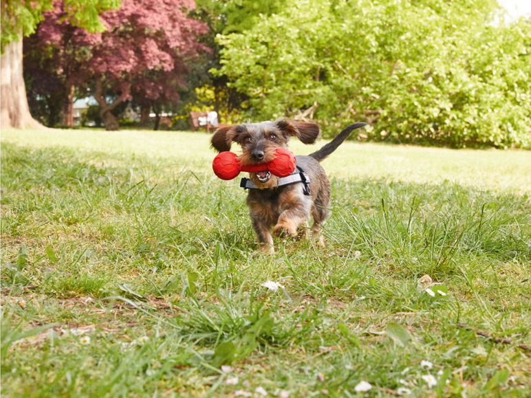 Gehe zu Vollbildansicht: NERF Dog Hundespielzeuge zum Werfen, Ziehen oder Kauen - Bild 3