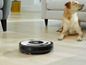 Ein Roomba Roboterstaubsauger auf einem Holzboden neben einem Hund.