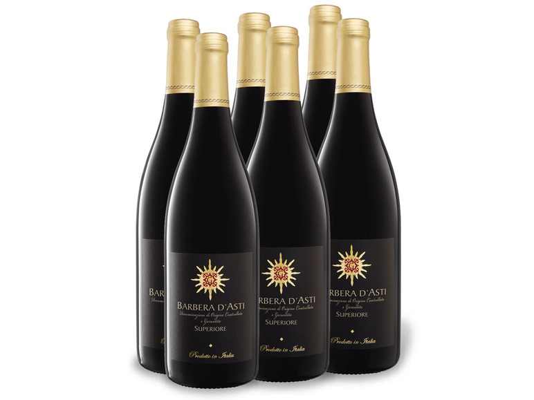 Gehe zu Vollbildansicht: 6 x 0,75-l-Flasche Weinpaket Barbera d'Asti DOCG Superiore trocken, Rotwein - Bild 1
