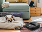 Ein Orico Roboterstaubsauger neben einem Hund auf einem Bett.
