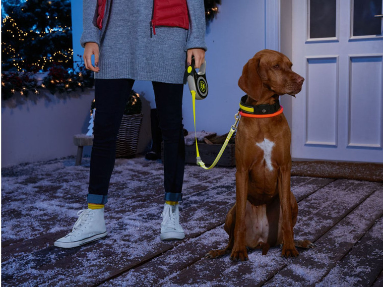 Gehe zu Vollbildansicht: ZOOFARI® Hundeleine, mit Rückzugsmechanismus und LED - Bild 8