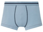 Hellblaue Boxershorts mit einem dunkelblauen Band.