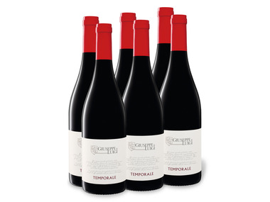 6 x 0,75-l-Flasche Weinpaket Giuseppe & Luigi Temporale Altropasso IGP trocken, Rotwein