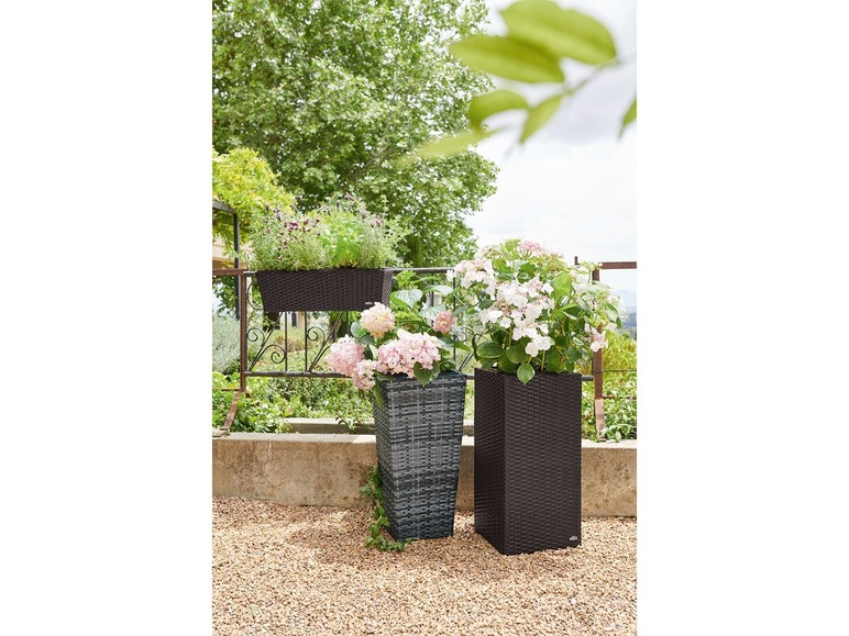 Drei braune Blumentöpfe mit Pflanzen in einer Gartenlandschaft.