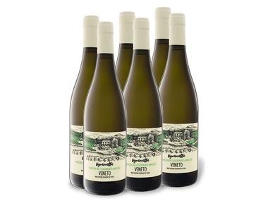 6 x 0,75-l-Flasche Weinpaket Vignamatta Bianco Veneto IGT halbtrocken, Weißwein