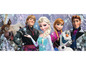 Elsa, Anna, Kristoff und Olaf aus Frozen.