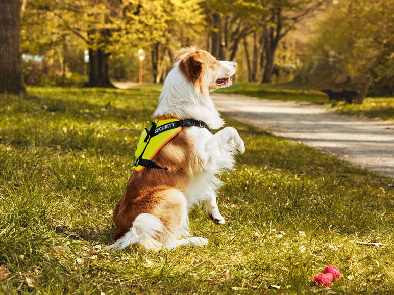 Gehe zu Vollbildansicht: ZOOFARI® Hundegeschirr, reflektierend, mit abnehmbarer Tasche, aus Polyester - Bild 2