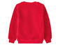 Ein roter Fleece-Pullover mit langen Ärmeln.