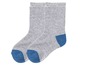 Zwei Paar graue Socken mit blauen Akzenten.