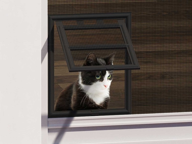 Eine Katze schaut durch eine schwarze Katzenklappe in einem Fenster.